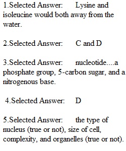 Quiz 2